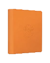 Terastal Gathering Binder - Flareon.webp