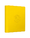 Terastal Gathering Binder - Jolteon.webp