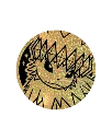 Terastal Gathering Coin Set Box - Jolteon Rare Gold Coin.webp