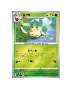 Terastal Gathering Coin Set Box - Leafon Promo Card.webp