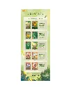 Secret Garden Box promo sheet 2.webp
