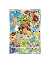 pokemon chinese Chespin 30th partner set vol.3