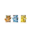 Dream Weaver eevee vaporeon jolteon Chinese.webp