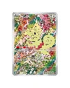 Gemstone Volume 6 Chinese Kecleon.webp