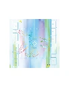 Pokemon 30th Celebration Espeon Battle Map Simplified Chinese.webp